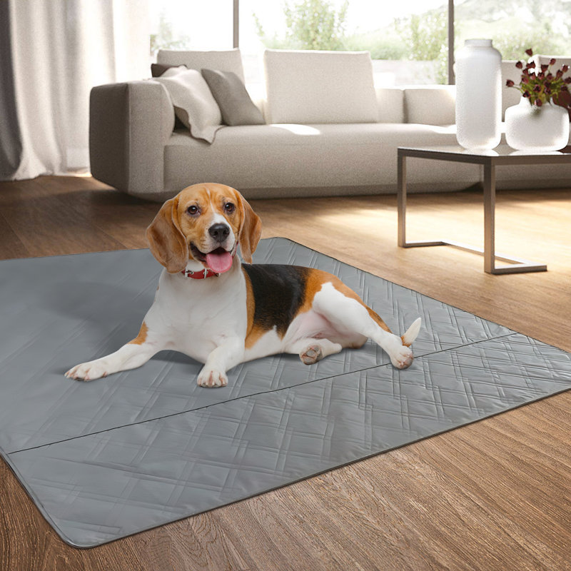 72 x72 Extra Large Washable Pet Dog Pee Mat for Playpen Floor Bed Sofa and Trunk Tucker Murphy Pet Color Gray